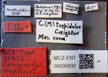 Media type: image;   Entomology 35832 Aspect: labels